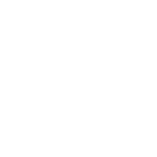 insta icon